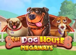 pokerbaronacasinosd: The Dog House Megaways